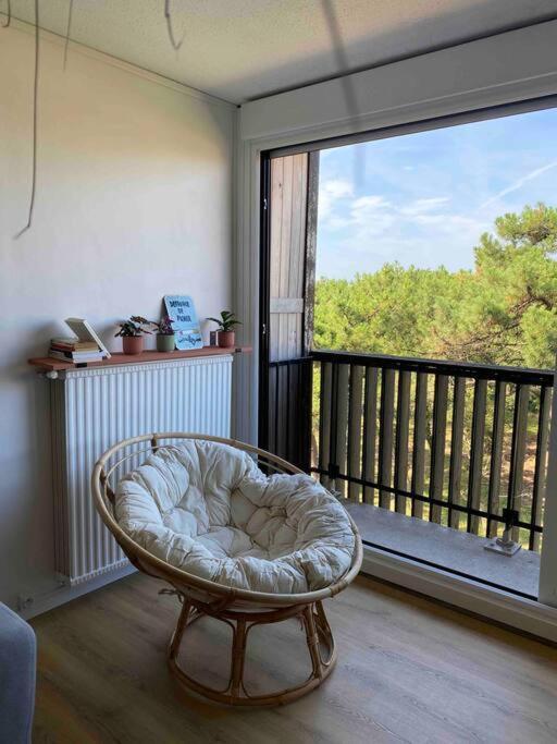 Grand T2 A 150M De La Plage Apartment Seignosse Luaran gambar